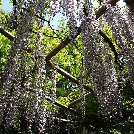 Akigawakeikoku Kinkoukaku Hotel Akiruno Buitenkant foto