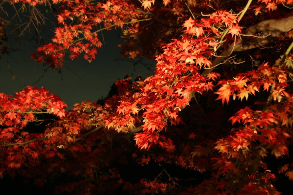 Akigawakeikoku Kinkoukaku Hotel Akiruno Buitenkant foto
