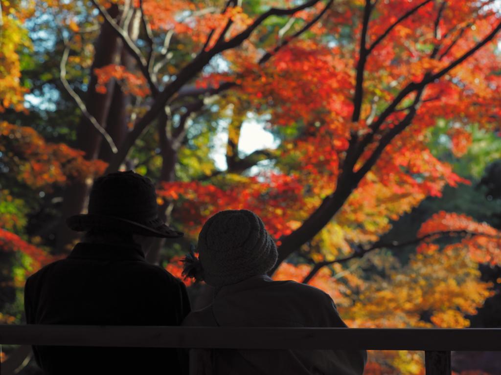 Akigawakeikoku Kinkoukaku Hotel Akiruno Buitenkant foto