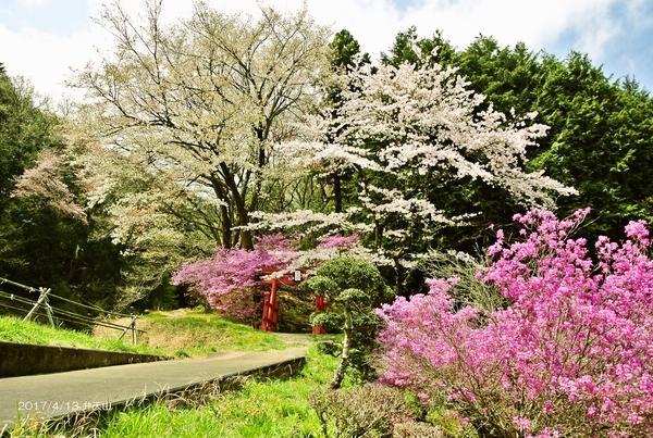 Akigawakeikoku Kinkoukaku Hotel Akiruno Buitenkant foto